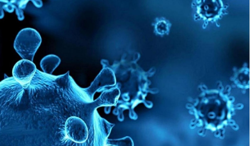 <strong>ख़तरनाक H3N2 वायरस से बच्चों-बुजुर्गों को कैसे बचाएं ?</strong>