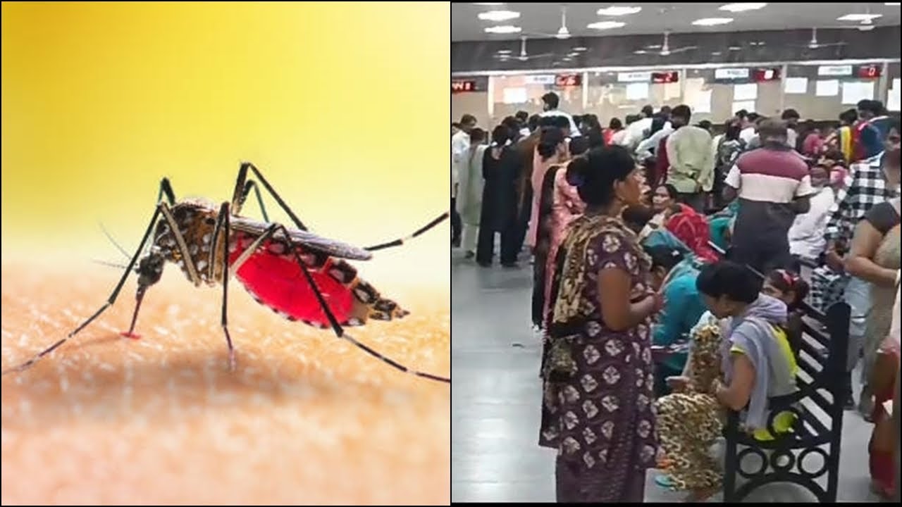 Noida: वाह रे अस्पताल..बिना डेंगू हुए डेंगू का चल रहा इलाज़!