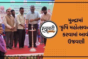 Kutch News: આજે ઈન્ટરનેશનલ યર ઓફ મીલેટ –2023 અંતર્ગત મુંદ્રા તાલુકાના કૃષિ વિજ્ઞાન કેંદ્ર, સાડાઉ ખાતે ખેતીવાડી શાખા,જીલ્લા પંચાયત,કચ્છ-ભુજ દ્વારા મીલેટ ડેવલોપમેન્ટ યોજના અંતર્ગત લોકોના સ્વાસ્થ્ય માટે જરૂરી એવા મીલેટસ (તૃણ ધાન્ય વર્ગના પાકો)ના વાવેતર વિસ્તાર વધારવા પ્રેરણા મળે તે માટે પ્રચાર-પ્રસાર માટે તાલુકા કક્ષાના કૃષિ મેળા ઉજવણી કરવામાં આવી હતી.