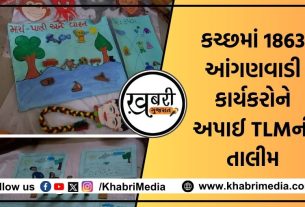 ગુજરાત સરકાર દ્વારા 3થી 6 વર્ષના બાળકોનું શિક્ષણ ગુણવત્તાલક્ષી અને બાળ વાટિકા અને પ્રાથમિક શાળા માટે સુસજ્જ બને તે હેતુથી ડીસેમ્બર 2021માં આઈસીડીએસ વિભાગ અંતર્ગત પ્રોજેક્ટ પા પા પગલીની શરૂઆત કરવામાં આવી હતી.