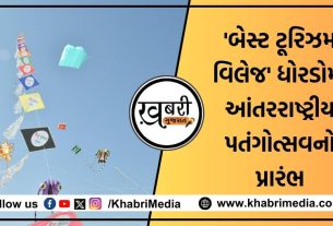 12 દેશ સહિત ભારતના વિવિધ રાજ્યોના 50થી વધુ કાઈટિસ્ટે અવનવી પતંગો સાથે સફેદ રણના આકાશમાં અનેરું આકર્ષણ જમાવ્યું