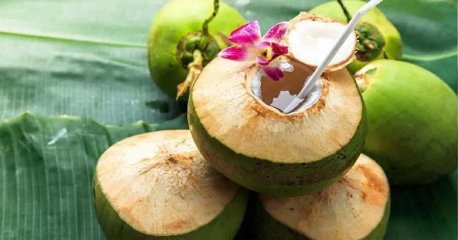 गर्मियों में नारियल पानी पीने वालों के लिए सावधान करने वाली ख़बर