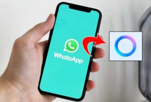 Whatsapp Blue Checkmark Feature