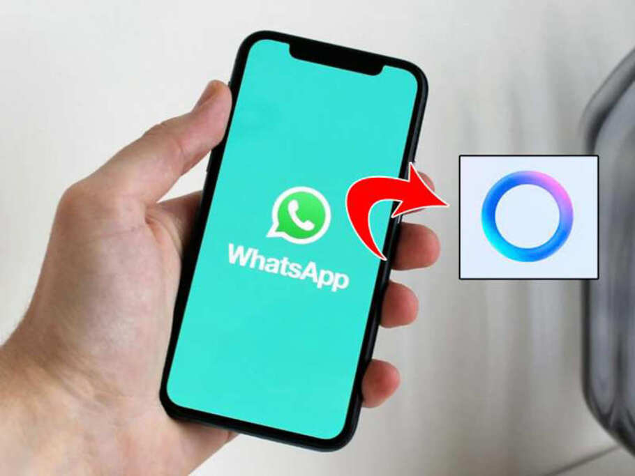 Whatsapp Blue Checkmark Feature