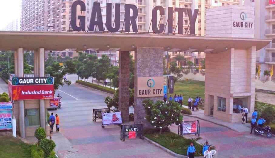 Stray dog attack in gaur city