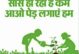 plantation in greater noida