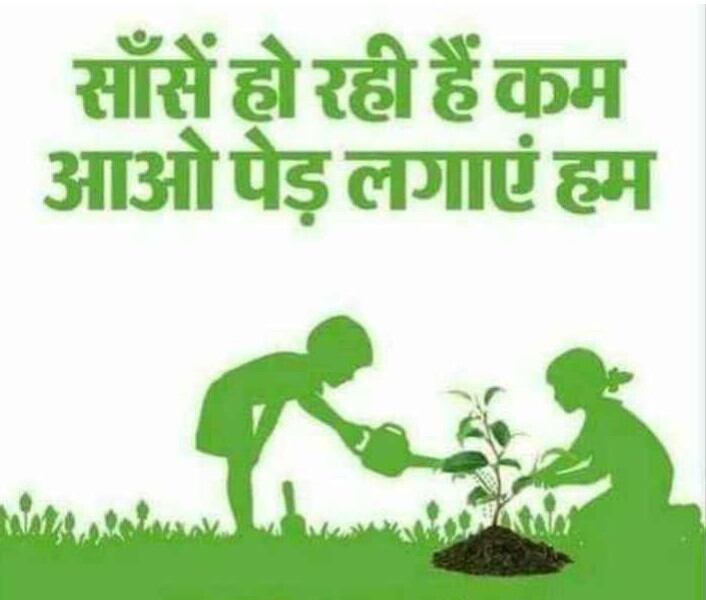 plantation in greater noida