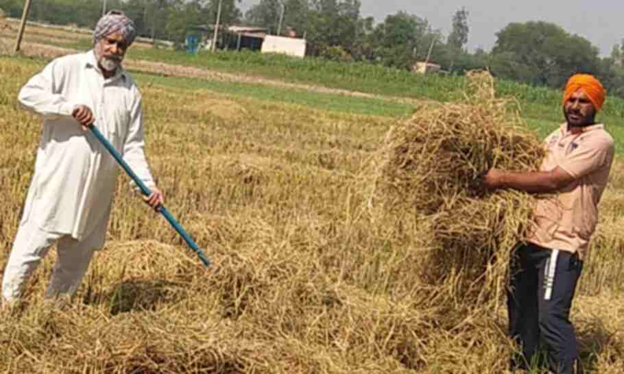 Punjab