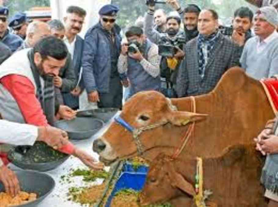 Haryana
