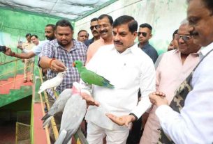 MP News