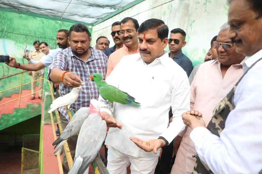 MP News