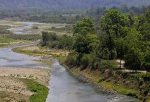 Asias Largest tiger in uttarakhand