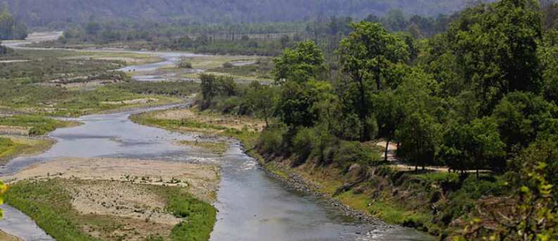 Asias Largest tiger in uttarakhand