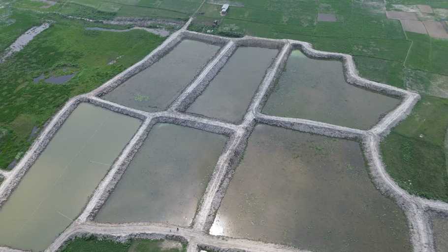Bihar
