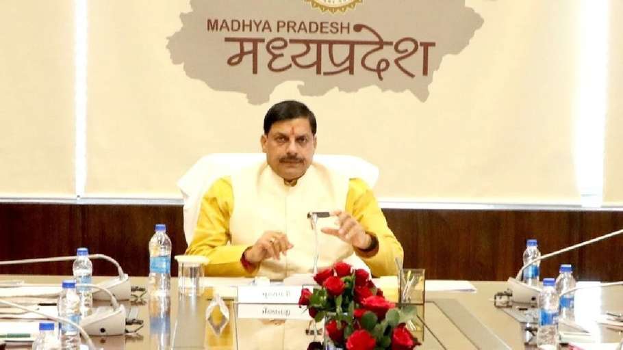MP News