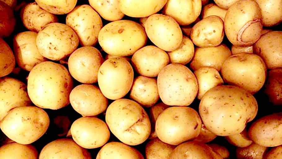 Fake Potato