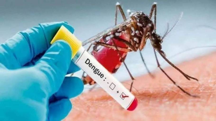 Dengue