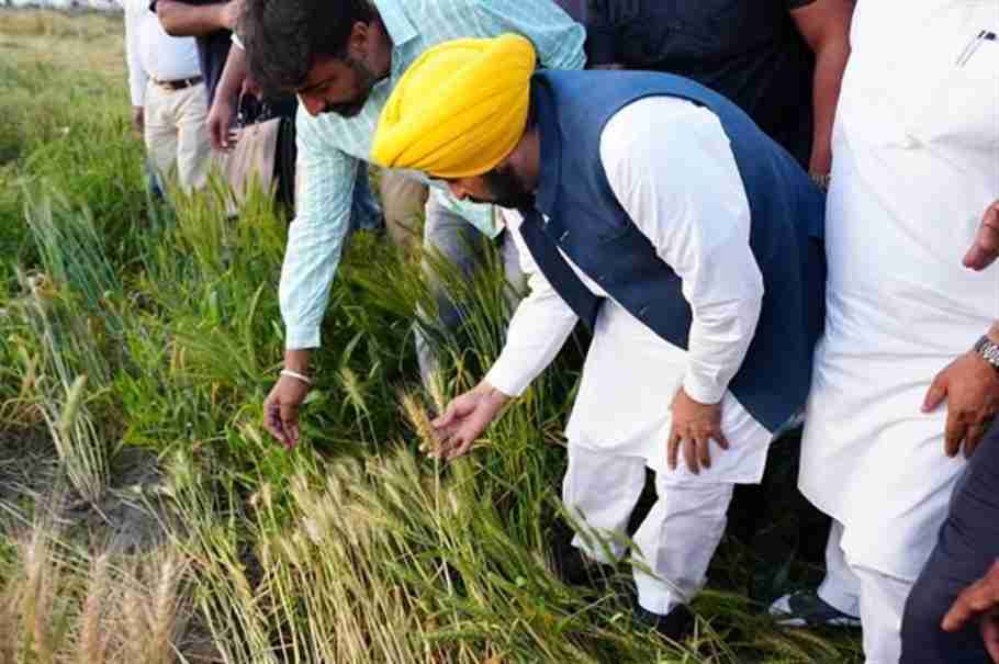 Punjab