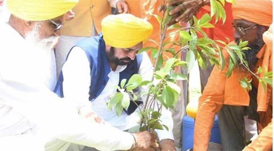 Punjab