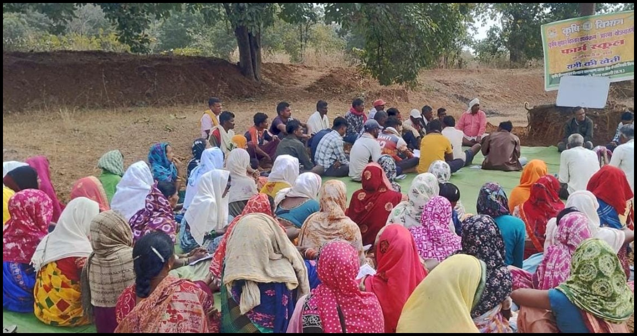 Chhattisgarh News (21)