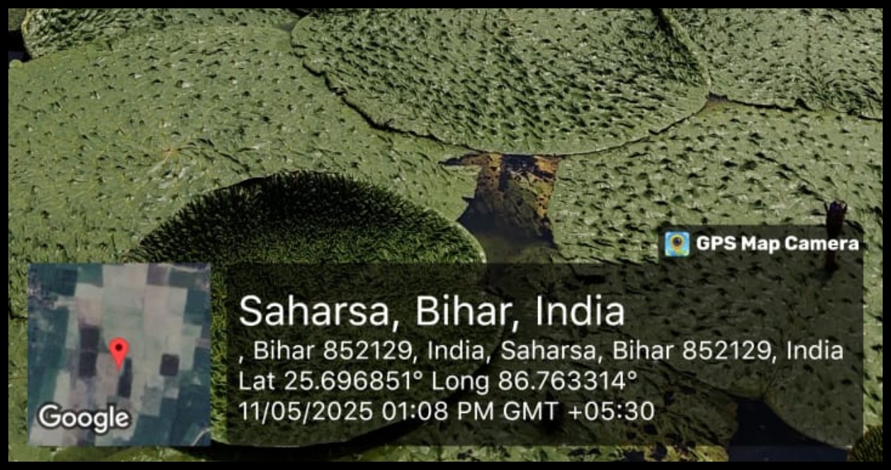 Bihar News