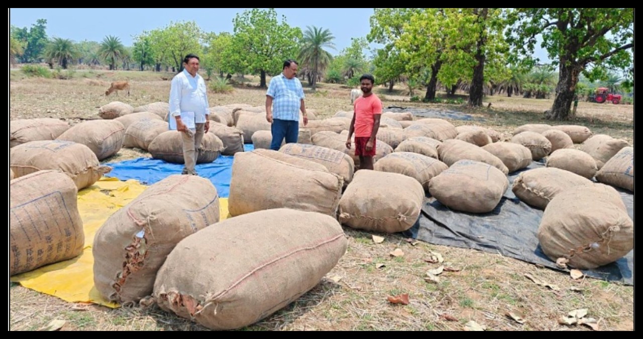 Chhattisgarh News