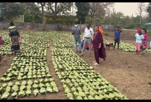 Chhattisgarh News