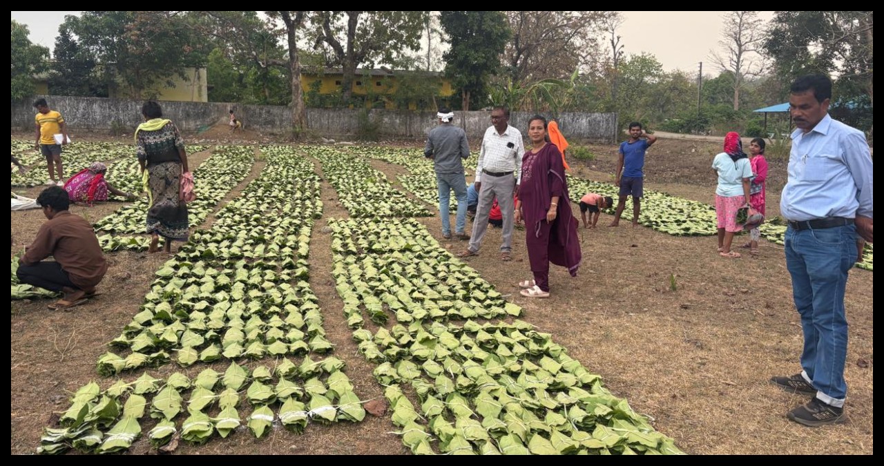Chhattisgarh News