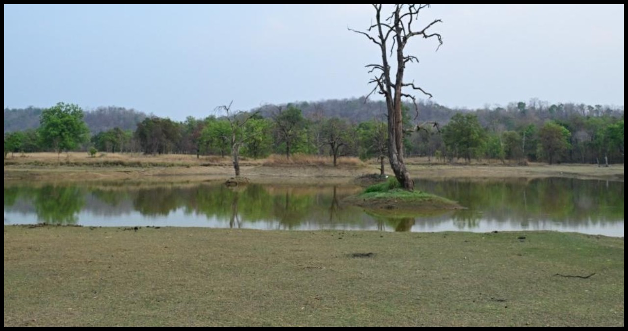 Chhattisgarh News