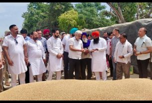 Punjab News