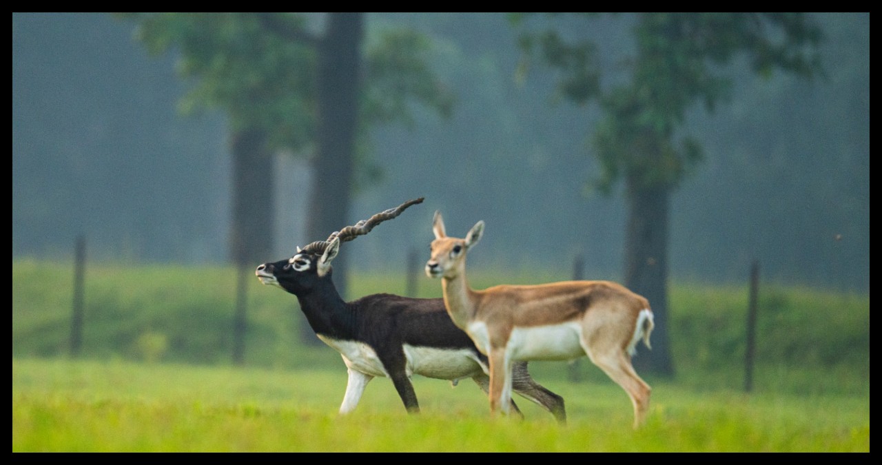 Chhattisgarh News