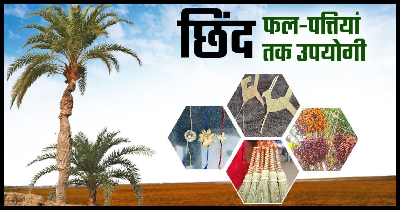 Chhattisgarh News