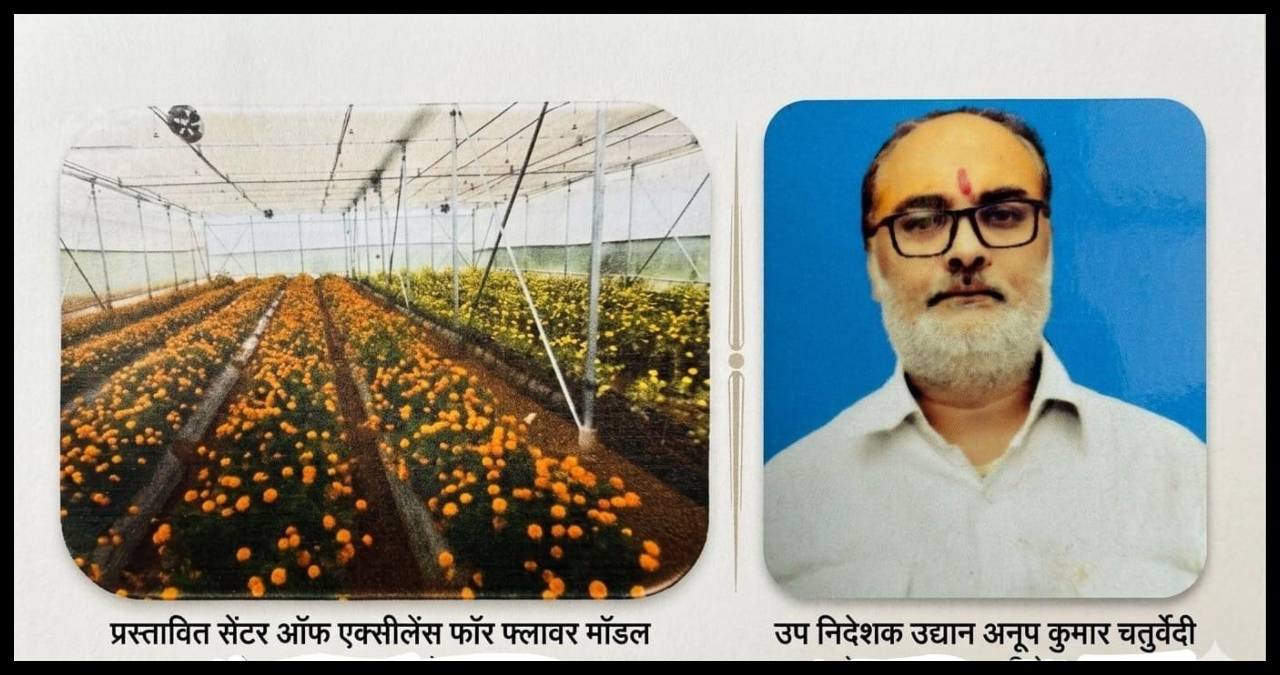 UP News: अयोध्या में बनेगा यूपी का पहला “फ्लावर सेंटर ऑफ एक्सीलेंस”, किसानों को मिलेगा बड़ा लाभ