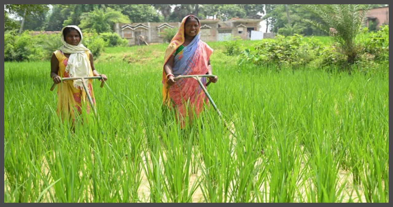 Bihar News