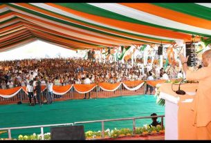 UP News